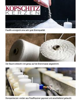 Preview: 50 Osterkerzen 60 x 50 mm Becher mit Lebensbaum