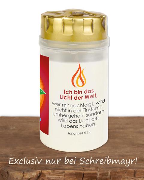 20 Osterlichter "Lebensbaum"  2,5 Tage Sturmdeckel