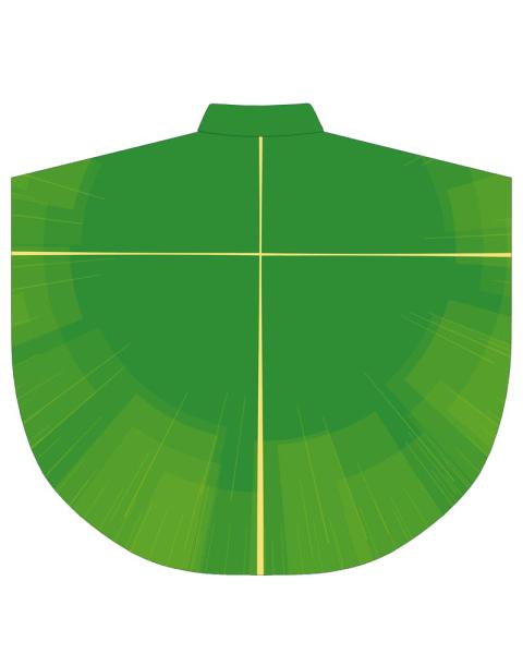 Kasel grün 130 x 145 cm mit Kreuz Ornamentik