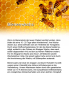Preview: Altarkerze 300 x 90 mm 10% Bienenwachs