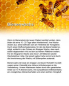 Preview: Osterkerze 400 x 60 mm Lamm A+O Wachsapplikation
