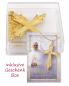 Preview: Pektorale Papst Leo XIV  7,8 x 6,5 cm mit Kette 60 cm