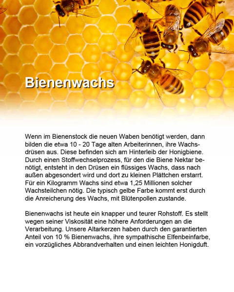 Altarkerze 600 x 40 mm 10 % Bienenwachs