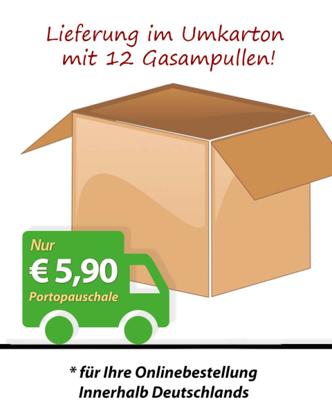 12 Gasampullen XXL 300 ml für Gasanzünder 406925