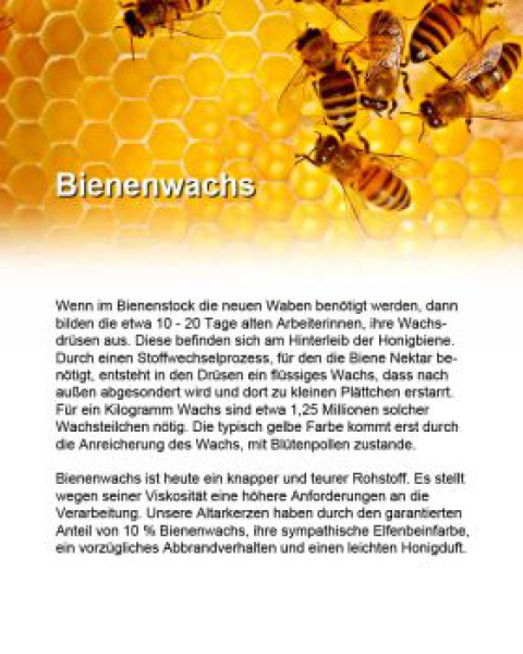Osterkerze 400 x 60 mm Lamm A+O Wachsapplikation