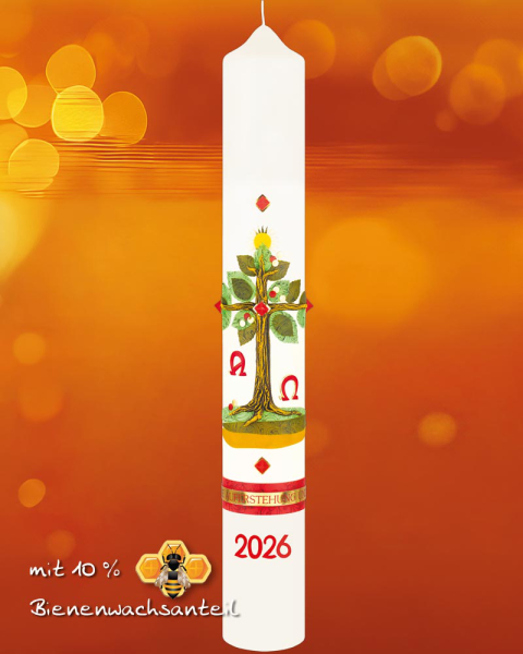 Osterkerze 600 x 80 mm Lebensbaum mit Sonne